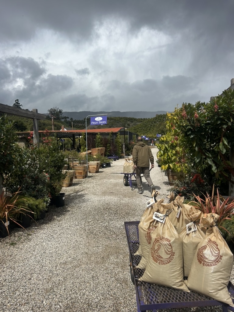 Large bags of compost at Paradise Nursery