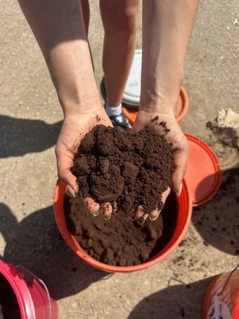 Coffee grounds collection