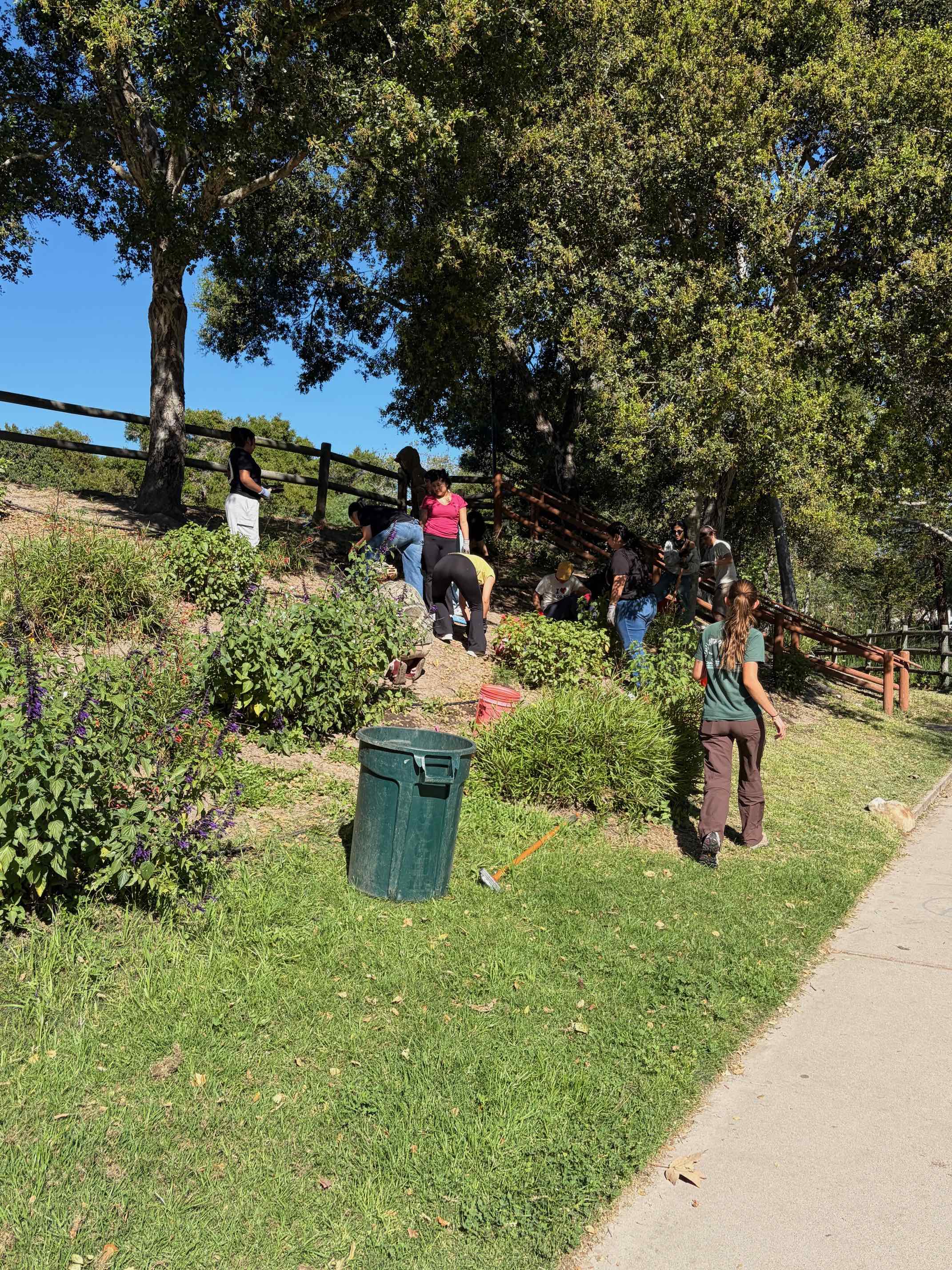 Native Planting Hill