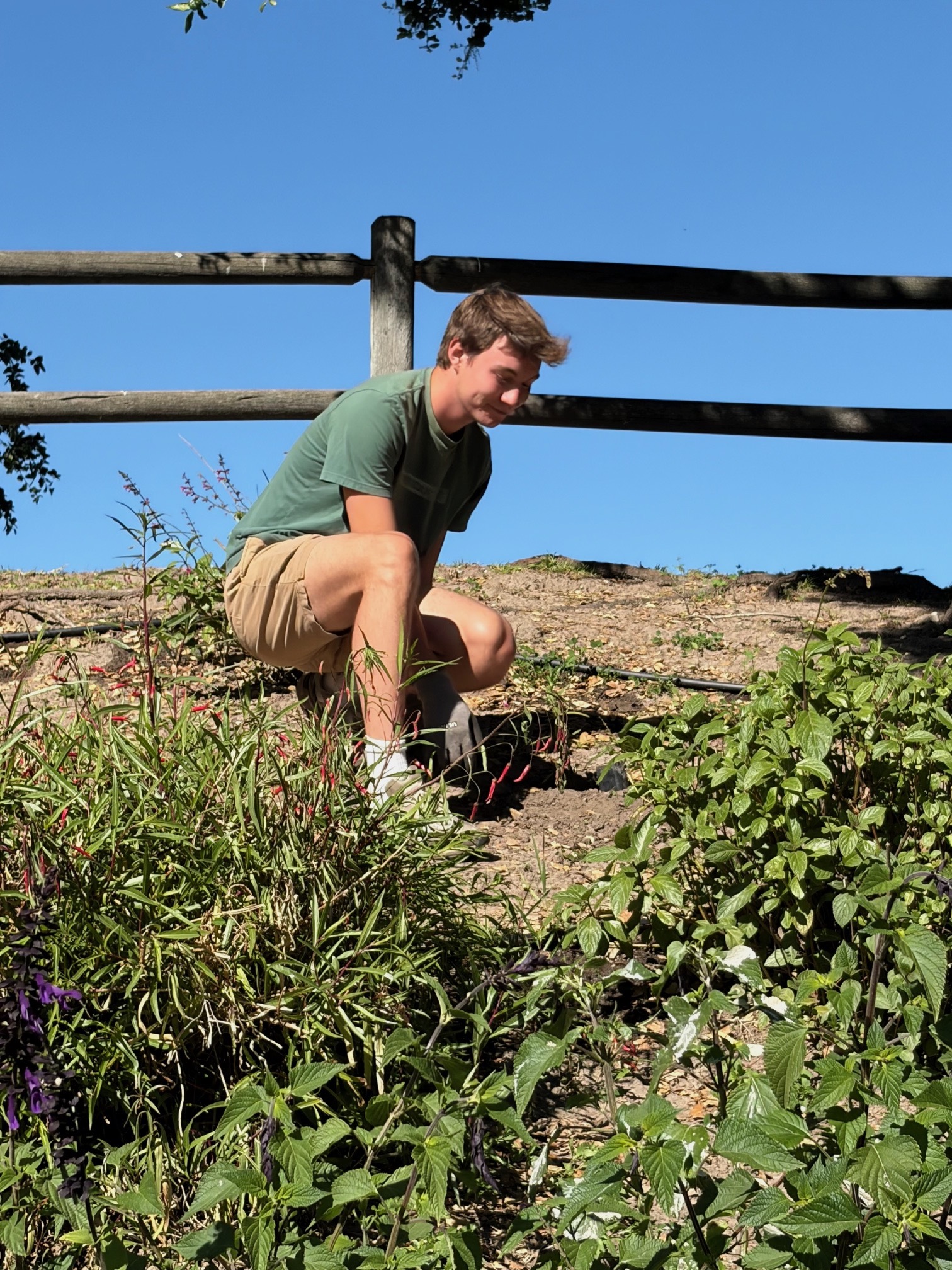 Hunter Planting