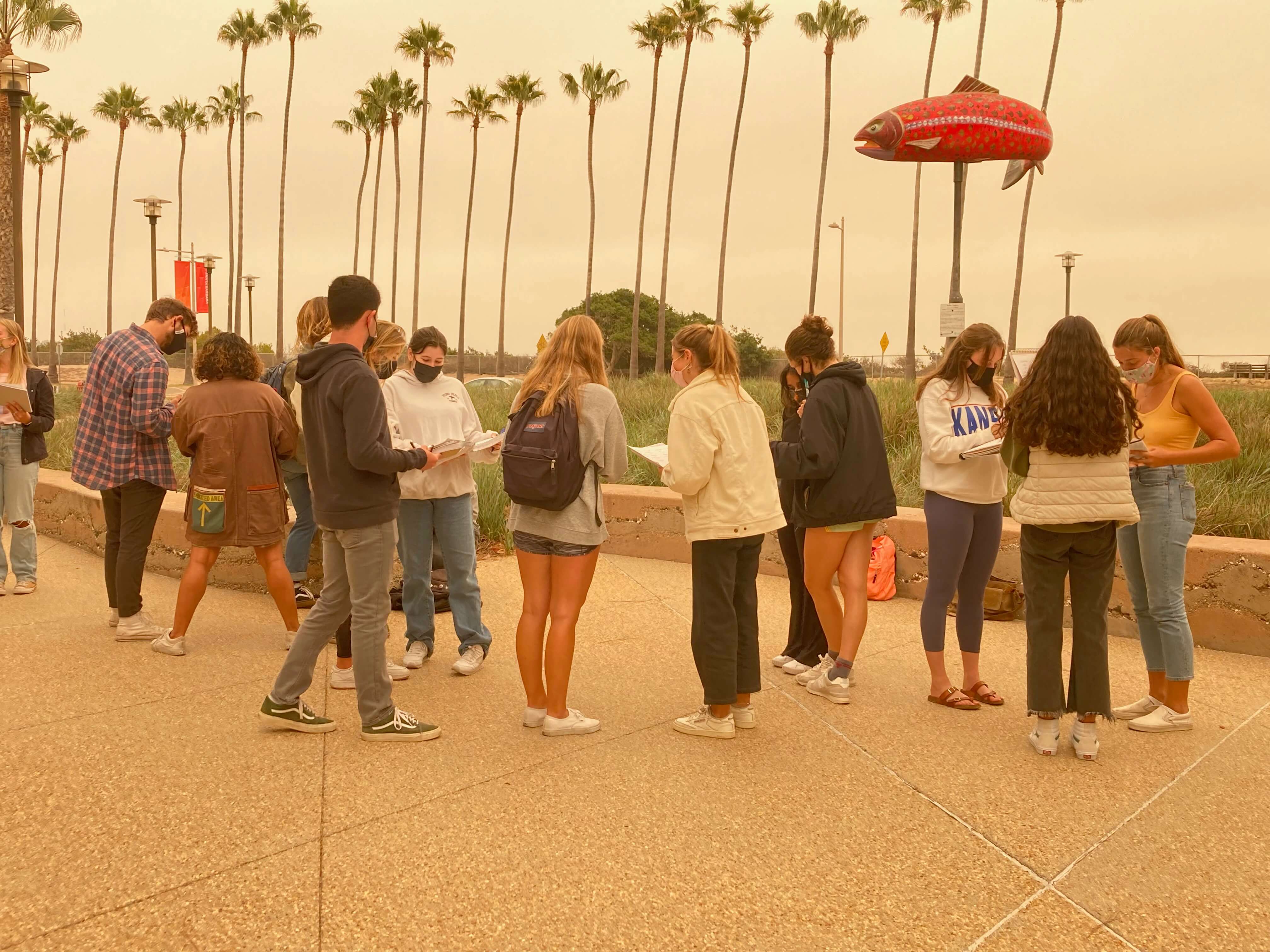 Students networking with classmates