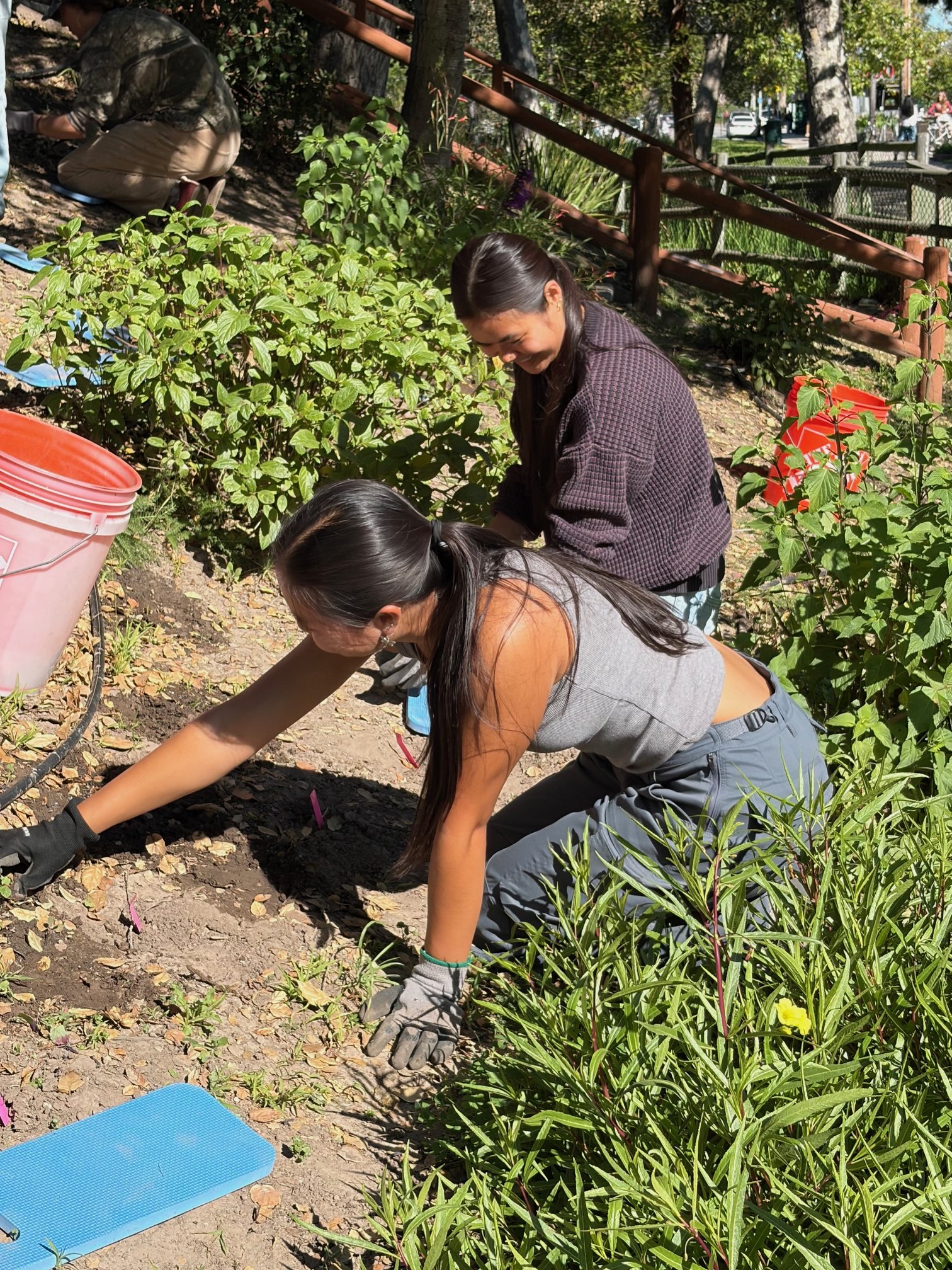 Jamie and Cacee planting