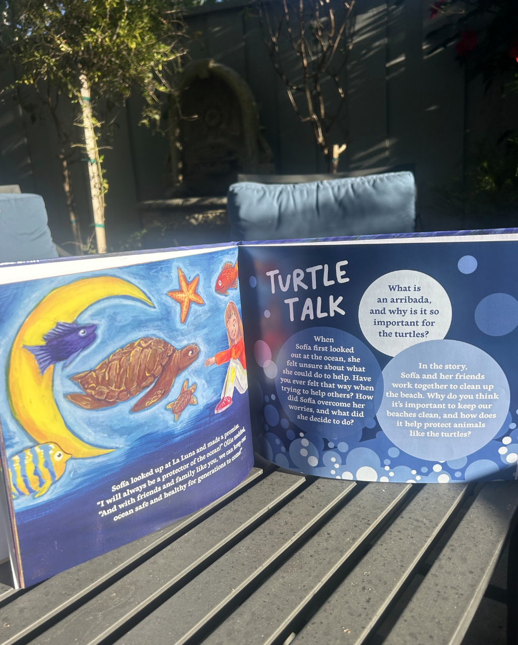 Turtle Talk