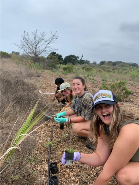 Students planting native plants to attract bats